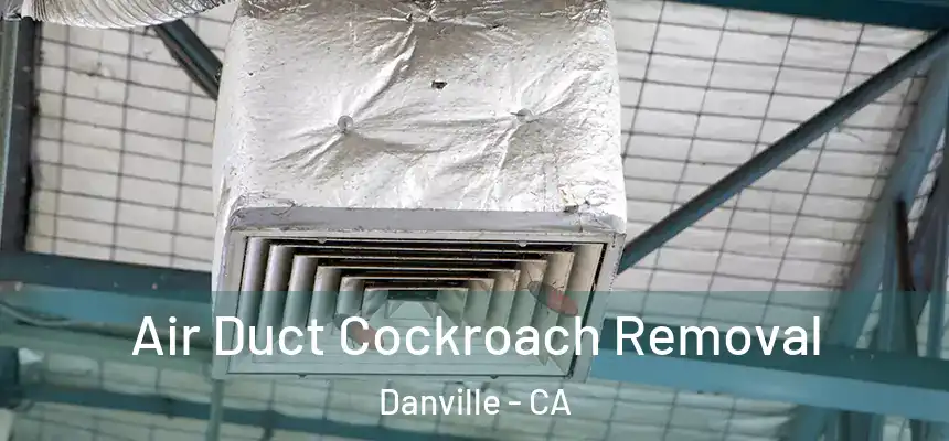 Air Duct Cockroach Removal Danville - CA