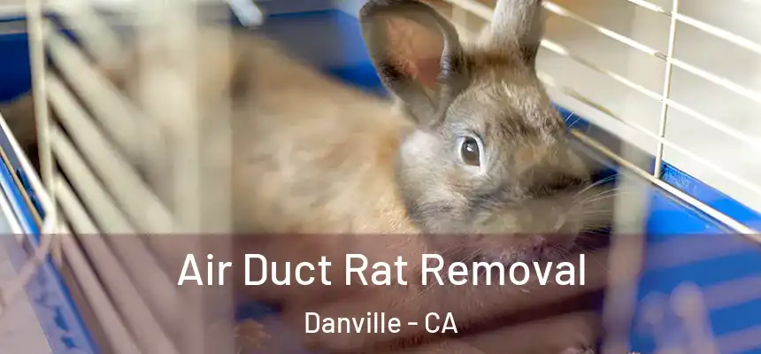 Air Duct Rat Removal Danville - CA