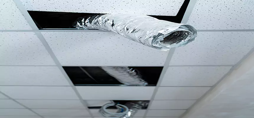 Our Air Duct Pet Hair Removal Services in Danville, CA