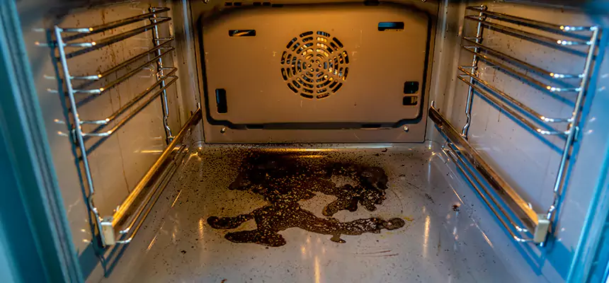 Our Dryer Vent Mold Cleaning Services in Danville, CA