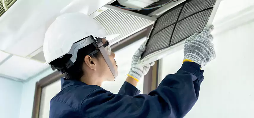 Our Mold & Mildew Removal from Air Ducts Services in Danville, CA