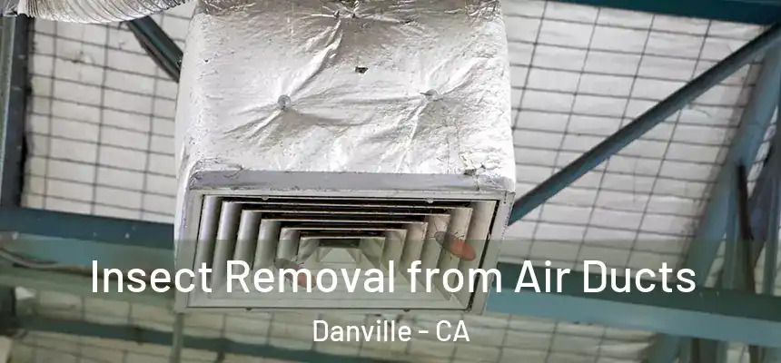 Insect Removal from Air Ducts Danville - CA
