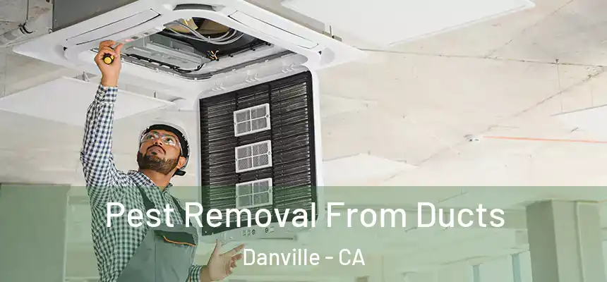 Pest Removal From Ducts Danville - CA