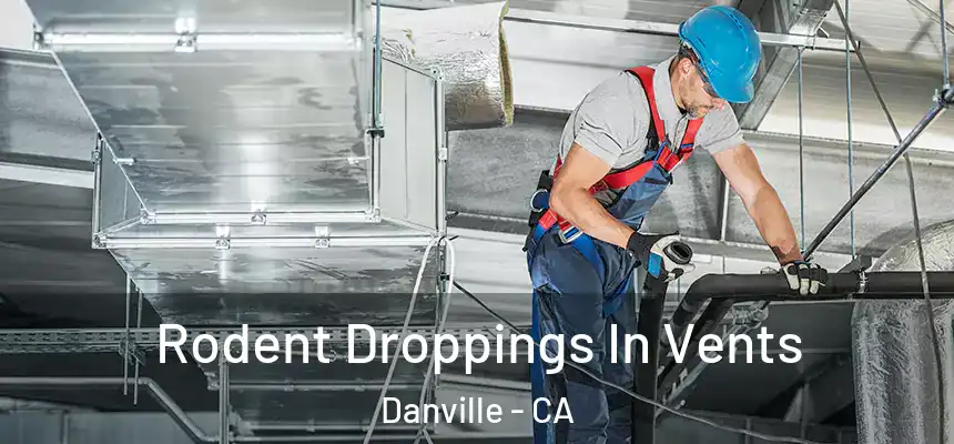  Rodent Droppings In Vents Danville - CA