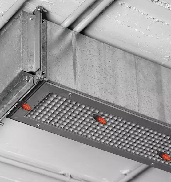 About Air Duct Cockroach Removal in Danville, CA