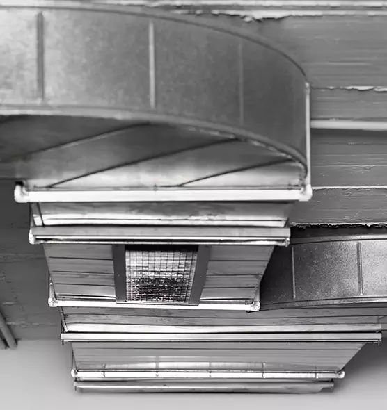 Professional Air Duct Pet Hair Removal in Danville, CA