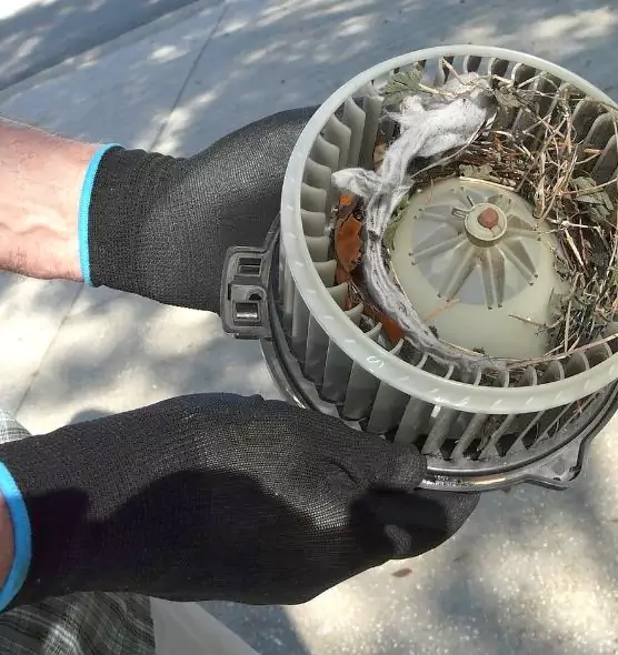 About Air Duct Rat Removal in Danville, CA