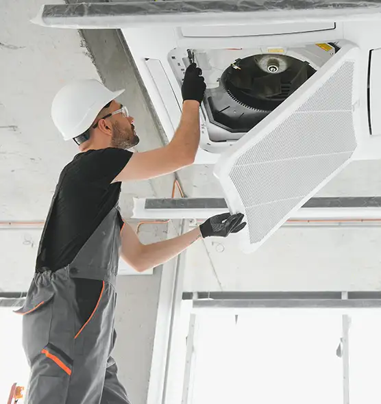 About Air Duct Rodent Removal in Danville, CA