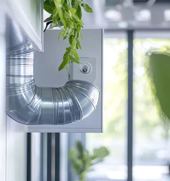 Professional Eco-Friendly Duct Cleaning Services in Danville, CA