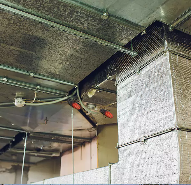 Why Homeowners & Businesses Trust Us in Danville, CA?