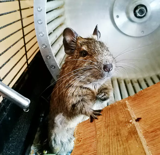 Why Homeowners & Businesses Trust Us Danville, CA?