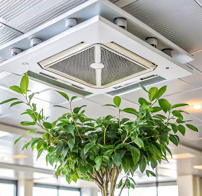 Why Homeowners & Businesses Trust Us in Danville, CA?